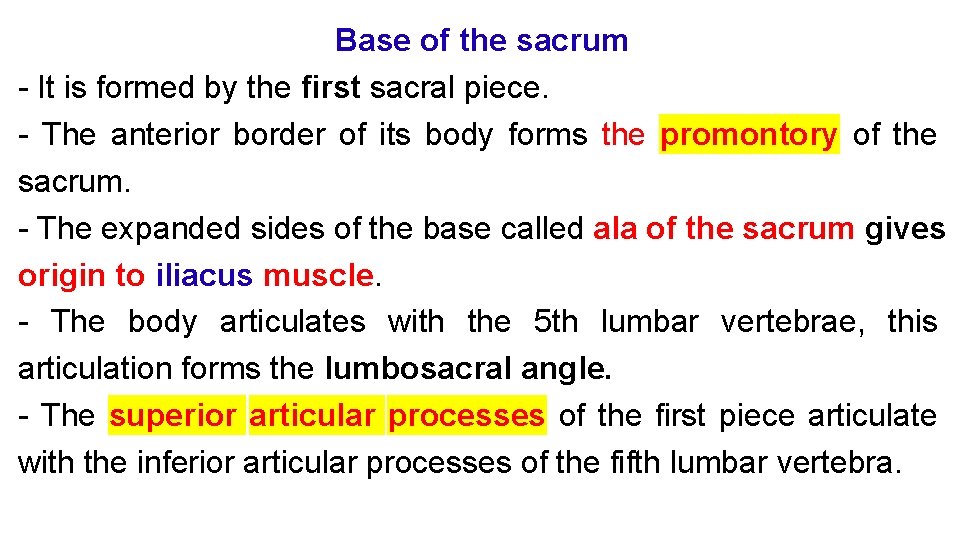 Base of the sacrum - It is formed by the first sacral piece. -