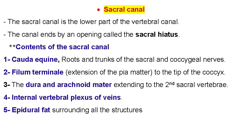  Sacral canal - The sacral canal is the lower part of the vertebral