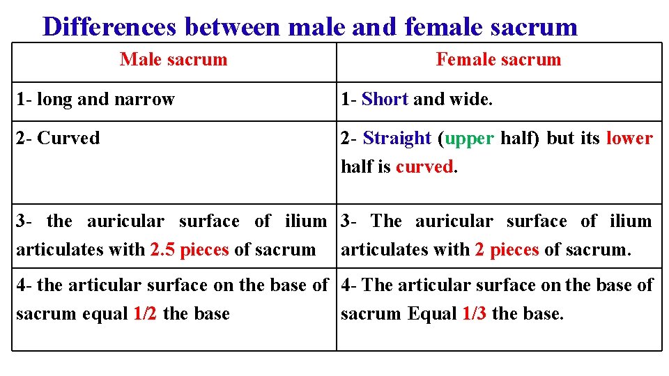 Differences between male and female sacrum Male sacrum Female sacrum 1 - long and