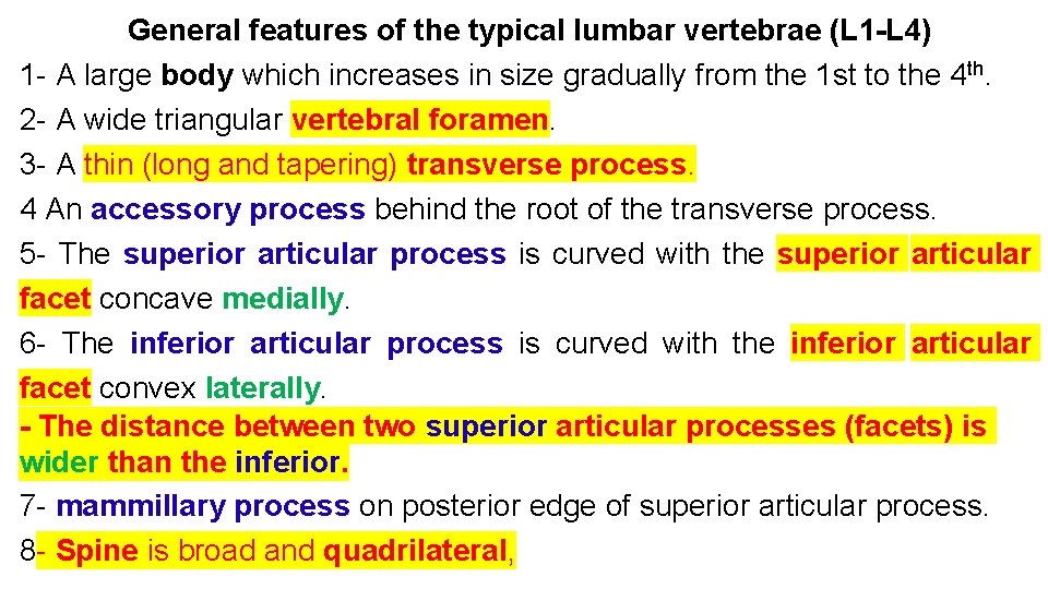 General features of the typical lumbar vertebrae (L 1 -L 4) 1 - A