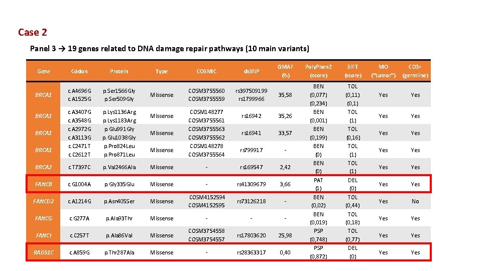 Case 2 Panel 3 → 19 genes related to DNA damage repair pathways (10