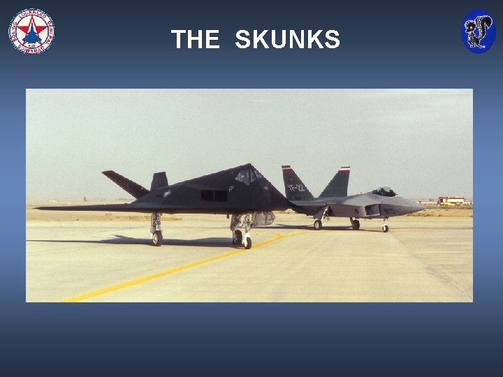 THE SKUNKS 