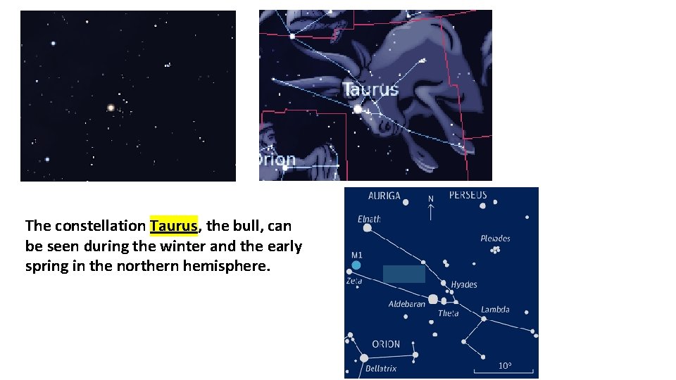 The constellation Taurus, the bull, can be seen during the winter and the early