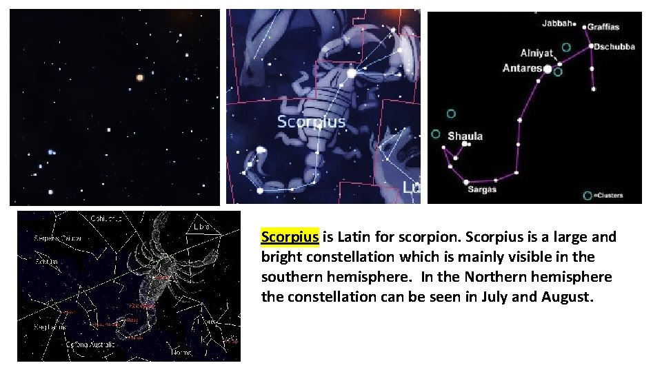 Scorpius is Latin for scorpion. Scorpius is a large and bright constellation which is