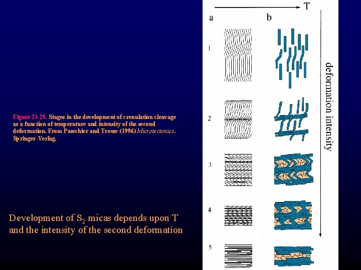 Figure 23 -25. Stages in the development of crenulation cleavage as a function of