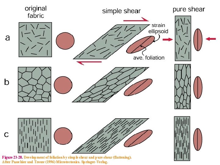 Figure 23 -28. Development of foliation by simple shear and pure shear (flattening). After