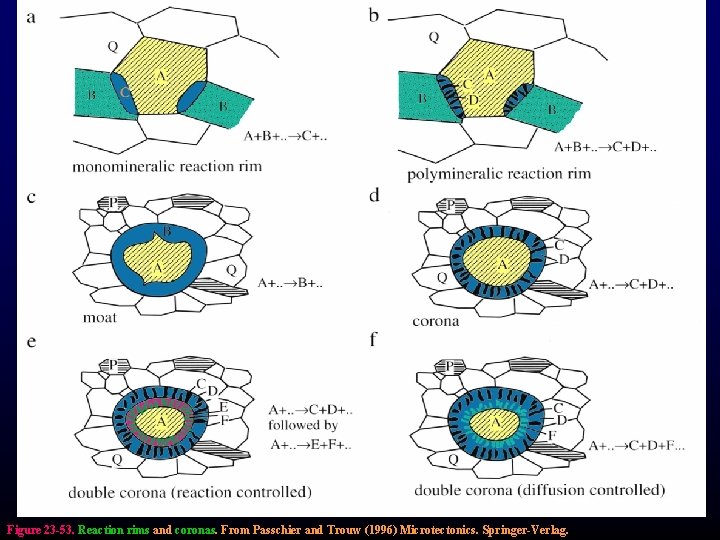Figure 23 -53. Reaction rims and coronas. From Passchier and Trouw (1996) Microtectonics. Springer-Verlag.