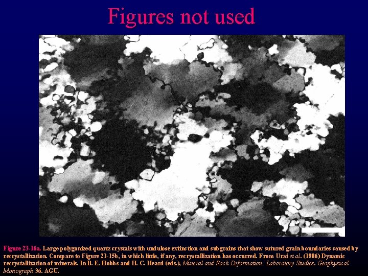 Figures not used Figure 23 -16 a. Large polygonized quartz crystals with undulose extinction