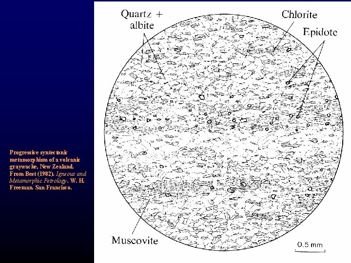 Progressive syntectonic metamorphism of a volcanic graywacke, New Zealand. From Best (1982). Igneous and