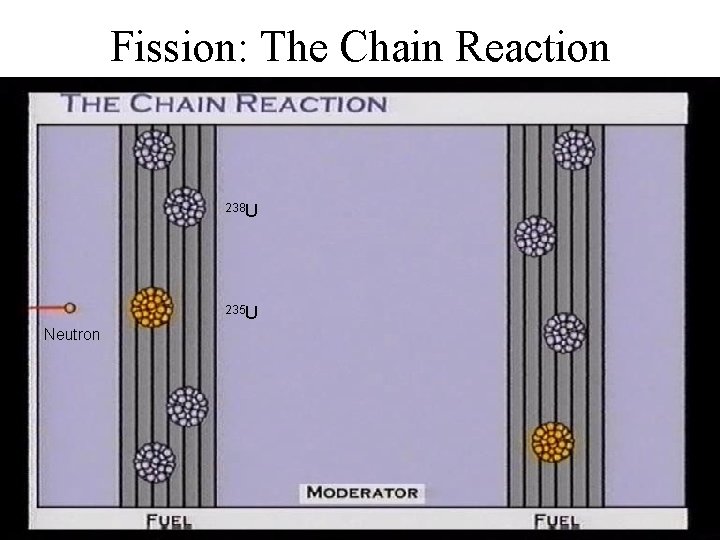 Fission: The Chain Reaction 238 U 235 U Neutron 