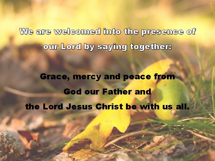 We are welcomed into the presence of our Lord by saying together: Grace, mercy