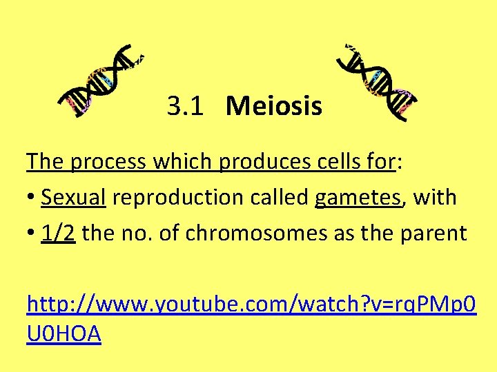 3. 1 Meiosis The process which produces cells for: • Sexual reproduction called gametes,