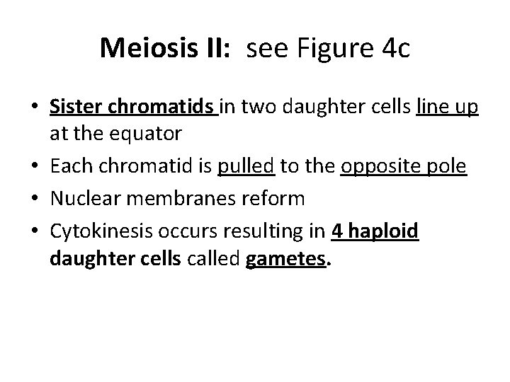 Meiosis II: see Figure 4 c • Sister chromatids in two daughter cells line