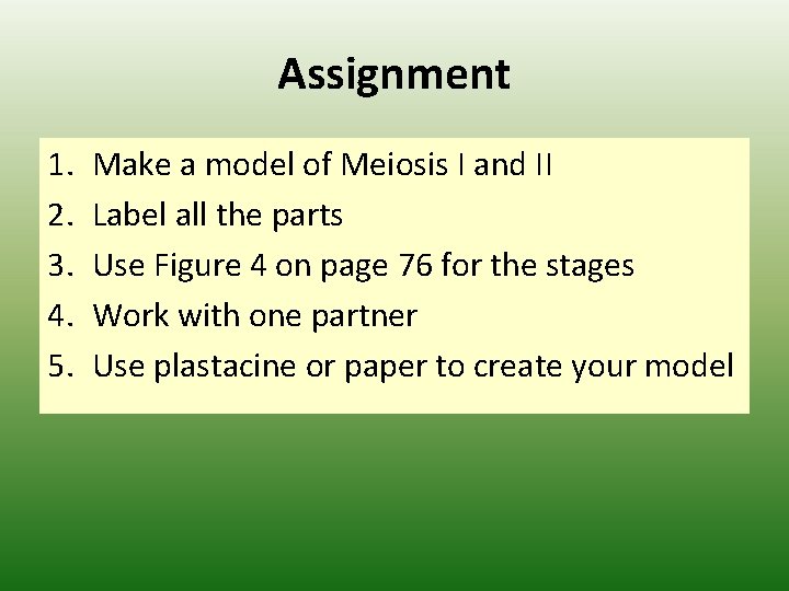 Assignment 1. 2. 3. 4. 5. Make a model of Meiosis I and II