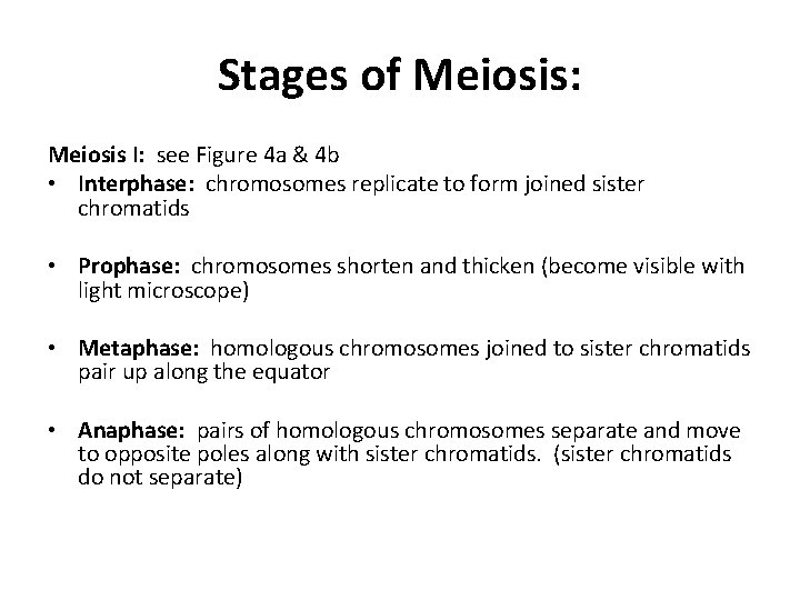 Stages of Meiosis: Meiosis I: see Figure 4 a & 4 b • Interphase: