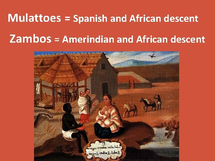 Mulattoes = Spanish and African descent Zambos = Amerindian and African descent 