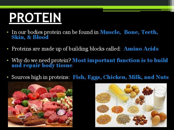 PROTEIN • In our bodies protein can be found in Muscle, Bone, Teeth, Skin,