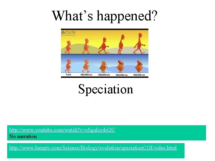 What’s happened? Speciation http: //www. youtube. com/watch? v=c. Sgulsyds. QU No narration http: //www. What’s happened? Speciation http: //www. youtube. com/watch? v=c. Sgulsyds. QU No narration http: //www.
