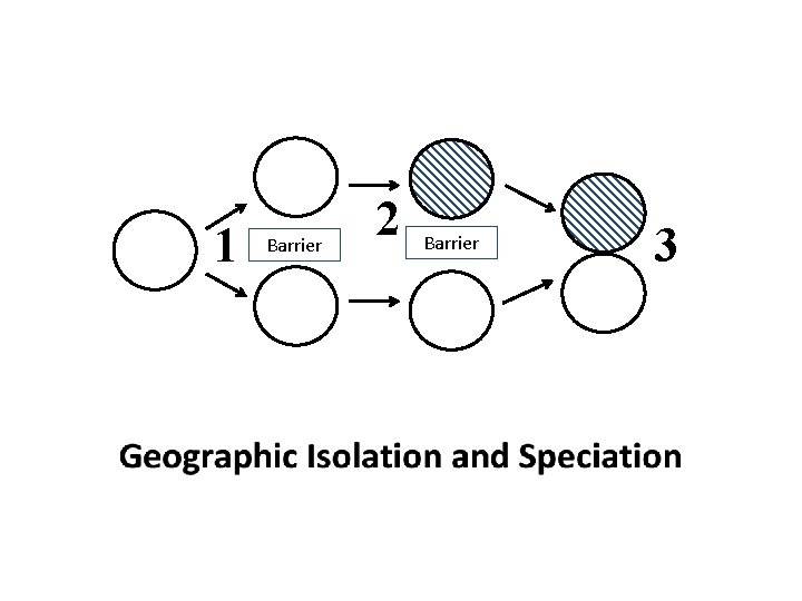 1 Barrier 2 Barrier 3 1 Barrier 2 Barrier 3
