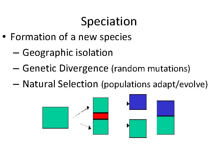 Speciation • Formation of a new species – Geographic isolation – Genetic Divergence (random Speciation • Formation of a new species – Geographic isolation – Genetic Divergence (random