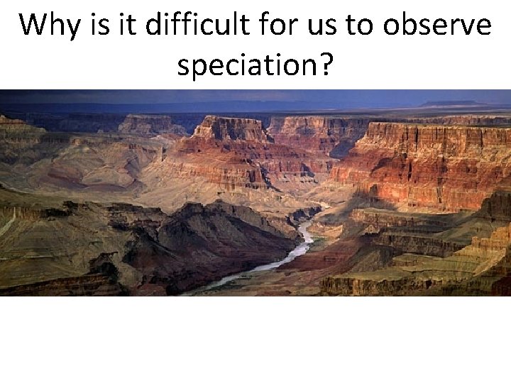 Why is it difficult for us to observe speciation? Why is it difficult for us to observe speciation?