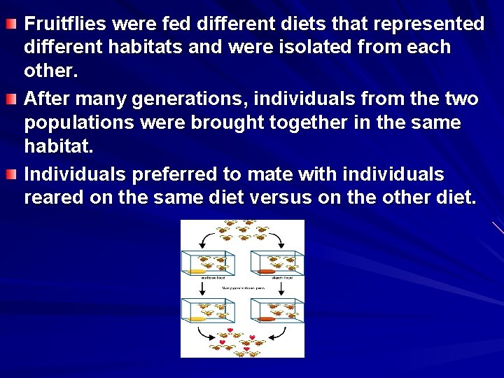 Fruitflies were fed different diets that represented different habitats and were isolated from each Fruitflies were fed different diets that represented different habitats and were isolated from each