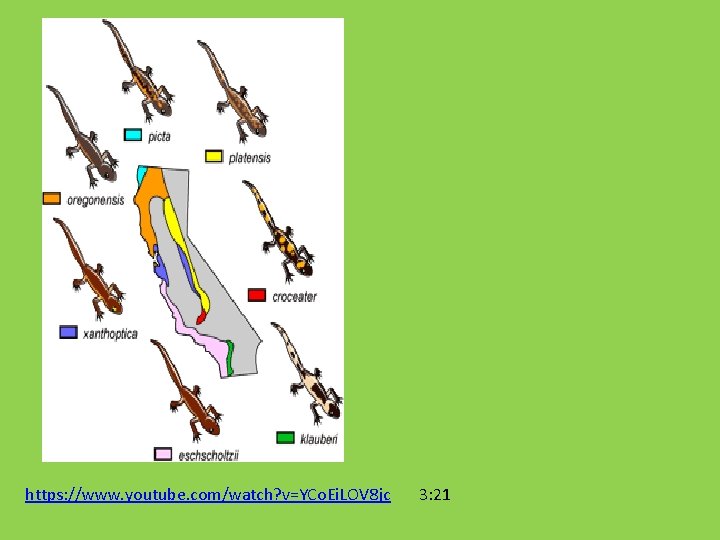 https: //www. youtube. com/watch? v=YCo. Ei. LOV 8 jc 3: 21 https: //www. youtube. com/watch? v=YCo. Ei. LOV 8 jc 3: 21