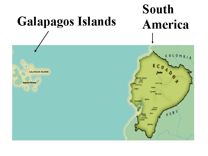 Galapagos Islands South America Galapagos Islands South America