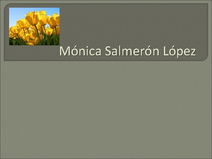 Mónica Salmerón López 