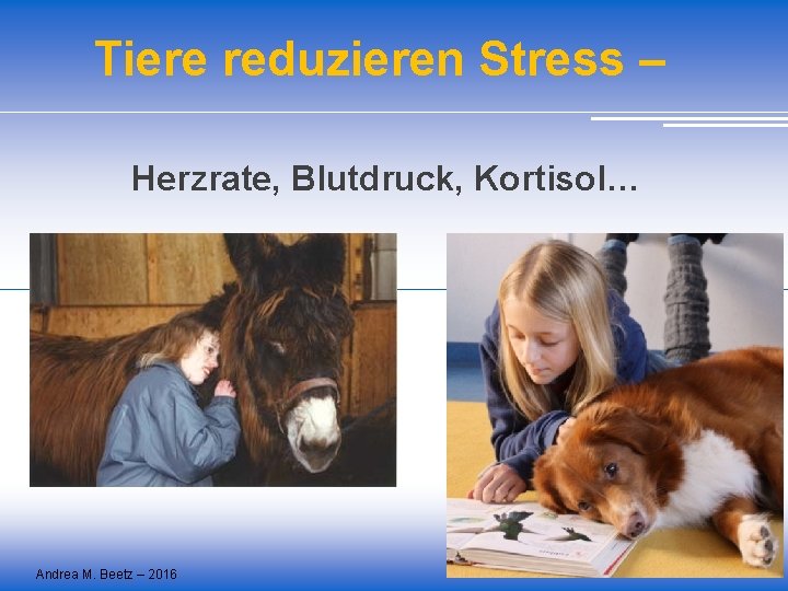 Tiere reduzieren Stress – Herzrate, Blutdruck, Kortisol… Andrea M. Beetz – 2016 