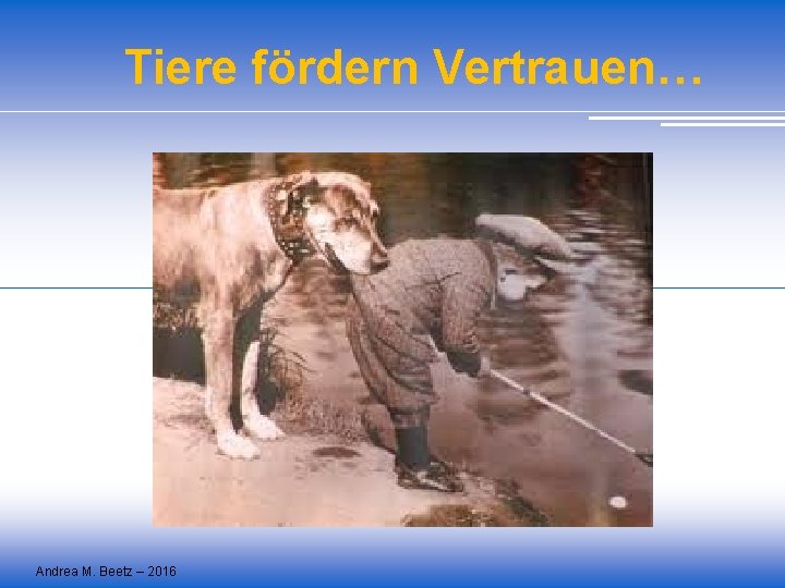 Tiere fördern Vertrauen… Andrea M. Beetz – 2016 Tiere fördern Vertrauen… Andrea M. Beetz – 2016