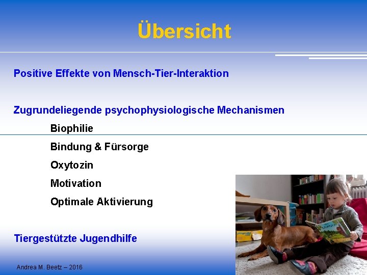 Übersicht Positive Effekte von Mensch-Tier-Interaktion Zugrundeliegende psychophysiologische Mechanismen Biophilie Bindung & Fürsorge Oxytozin Motivation