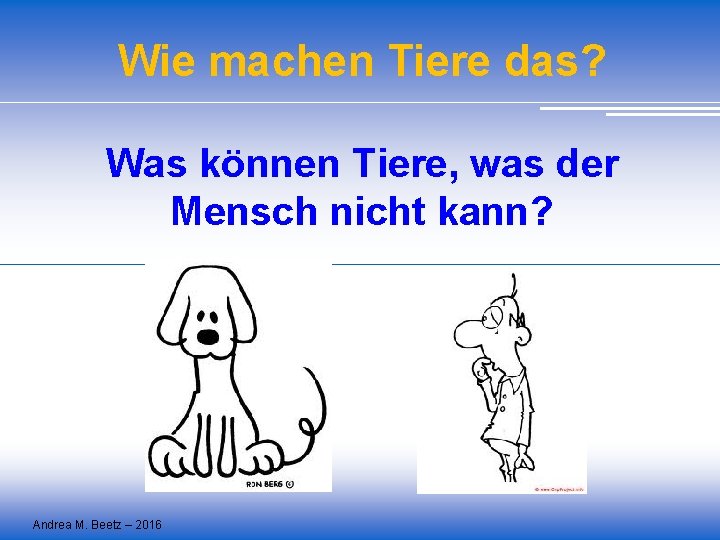 Wie machen Tiere das? Was können Tiere, was der Mensch nicht kann? Andrea M.