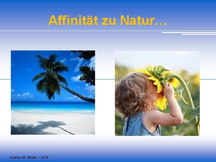 Affinität zu Natur… Andrea M. Beetz – 2016 