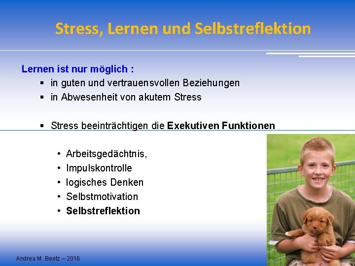 Stress, Lernen und Selbstreflektion Lernen ist nur möglich : § in guten und vertrauensvollen