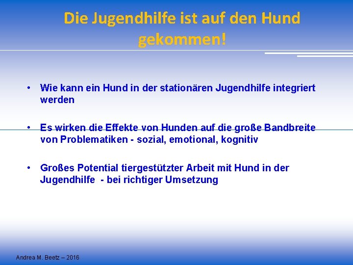 Die Jugendhilfe ist auf den Hund gekommen! • Wie kann ein Hund in der