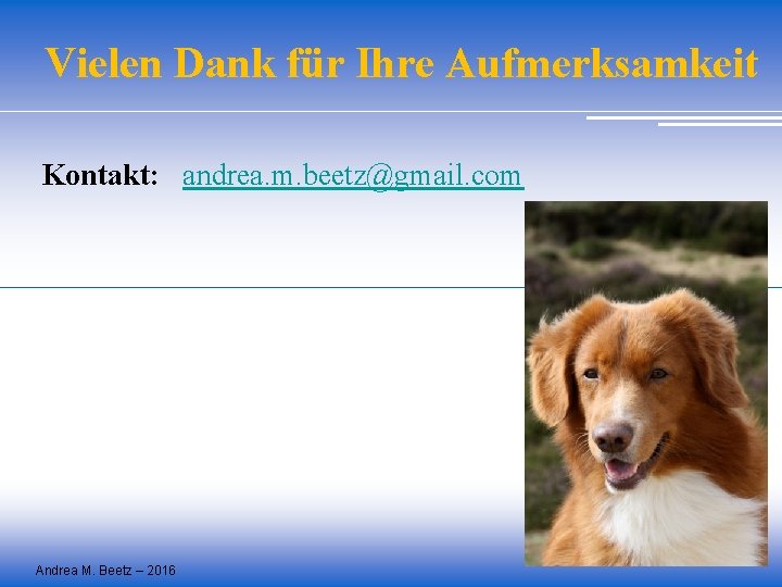 Vielen Dank für Ihre Aufmerksamkeit Kontakt: andrea. m. beetz@gmail. com Andrea M. Beetz –