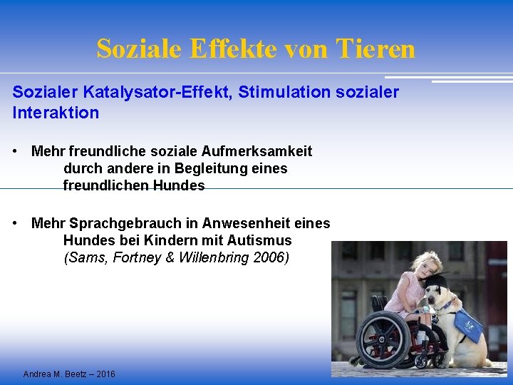 Soziale Effekte von Tieren Sozialer Katalysator-Effekt, Stimulation sozialer Interaktion • Mehr freundliche soziale Aufmerksamkeit