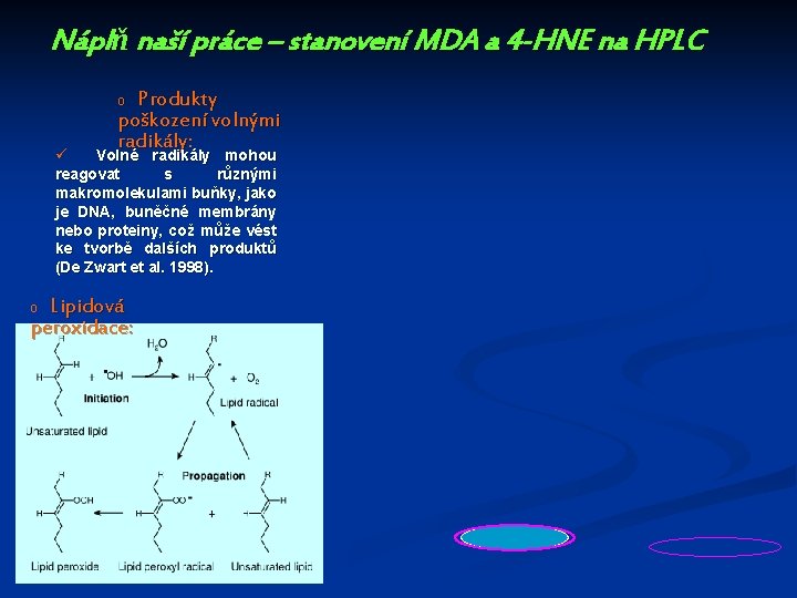 Náplň naší práce – stanovení MDA a 4 -HNE na HPLC Produkty poškození volnými