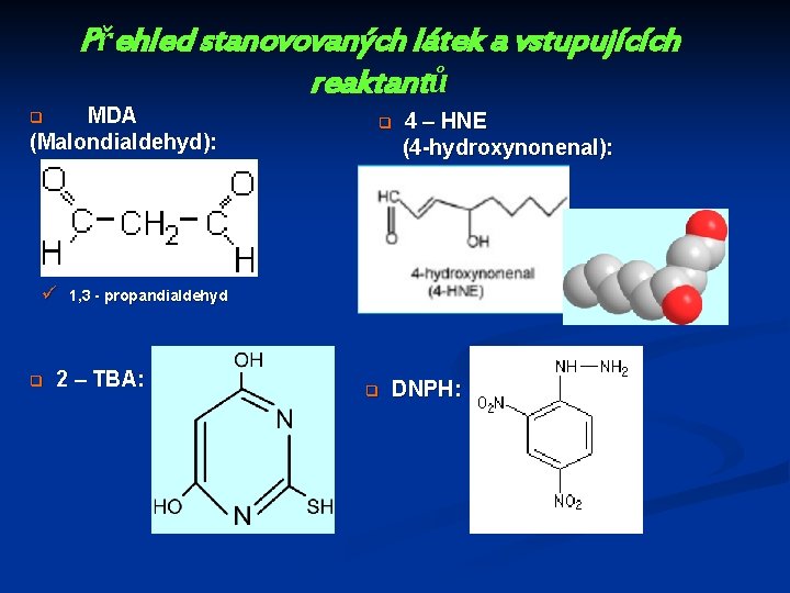 Přehled stanovovaných látek a vstupujících reaktantů MDA (Malondialdehyd): q ü q q 4 –