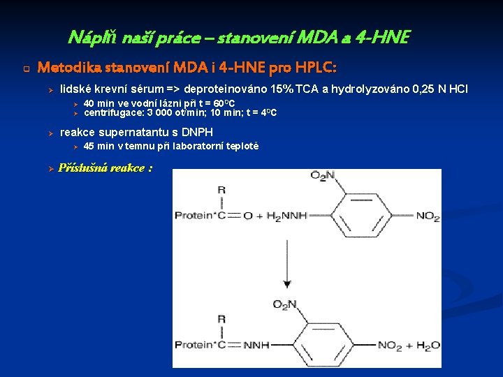 Náplň naší práce – stanovení MDA a 4 -HNE q Metodika stanovení MDA i