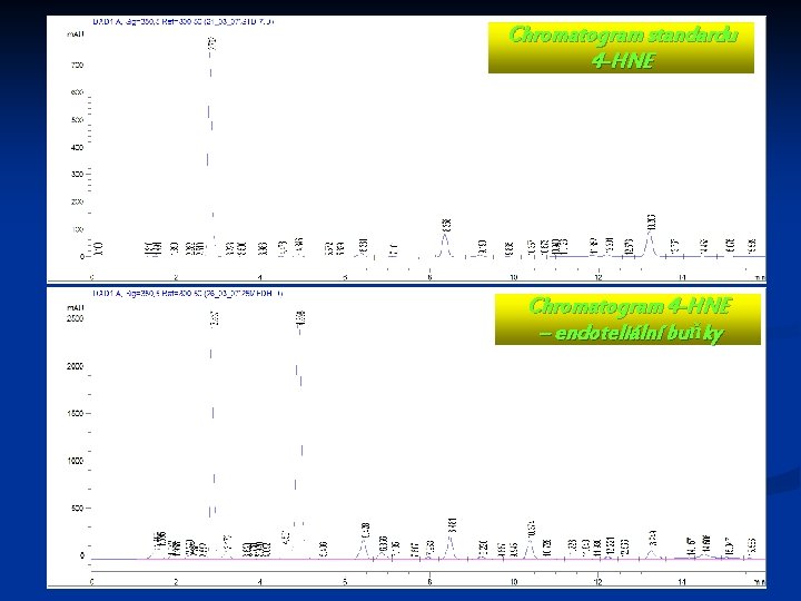Chromatogram standardu 4 -HNE Chromatogram 4 -HNE – endoteliální buňky 18 