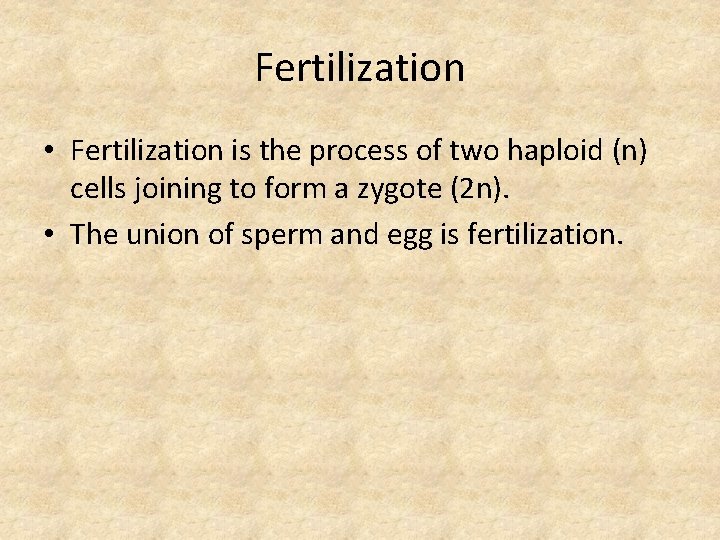 Fertilization • Fertilization is the process of two haploid (n) cells joining to form