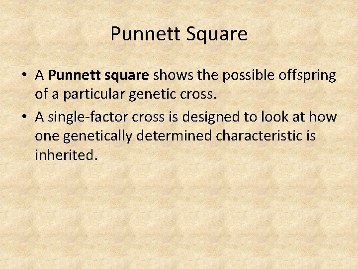 Punnett Square • A Punnett square shows the possible offspring of a particular genetic