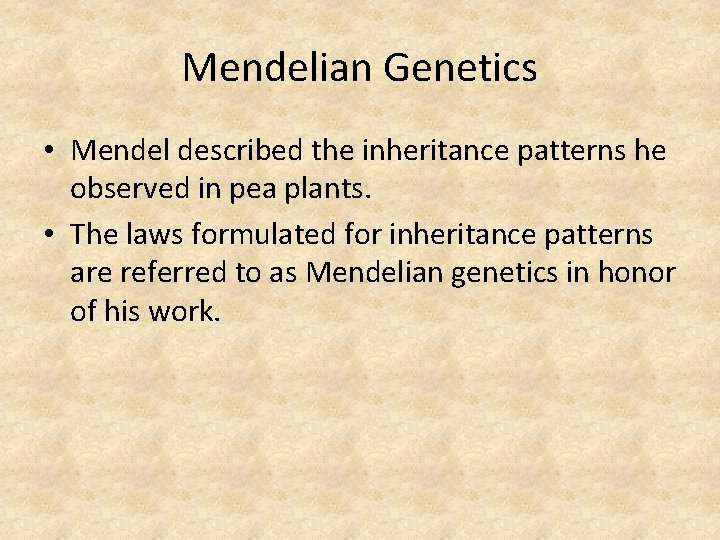 Mendelian Genetics • Mendel described the inheritance patterns he observed in pea plants. •