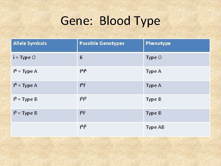 Gene: Blood Type Allele Symbols Possible Genotypes Phenotype i = Type O Ii Type