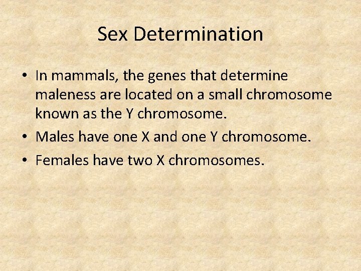 Sex Determination • In mammals, the genes that determine maleness are located on a