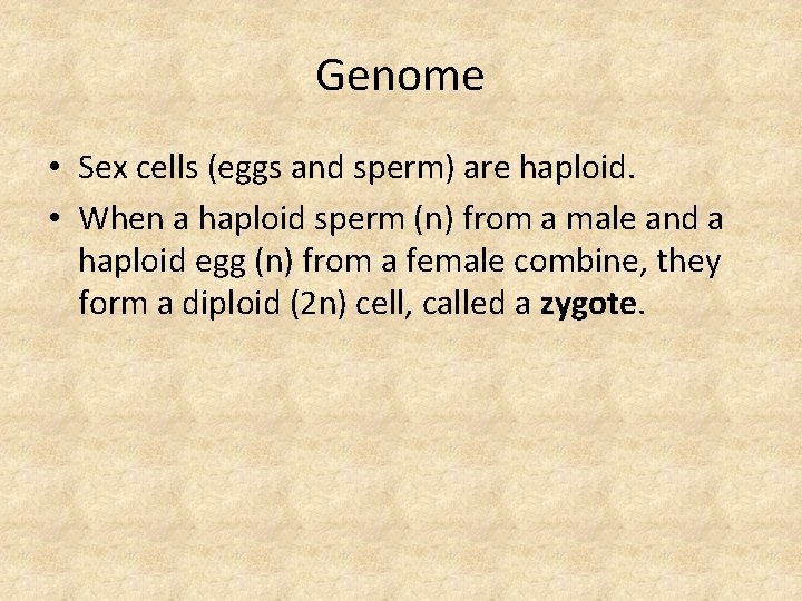Genome • Sex cells (eggs and sperm) are haploid. • When a haploid sperm