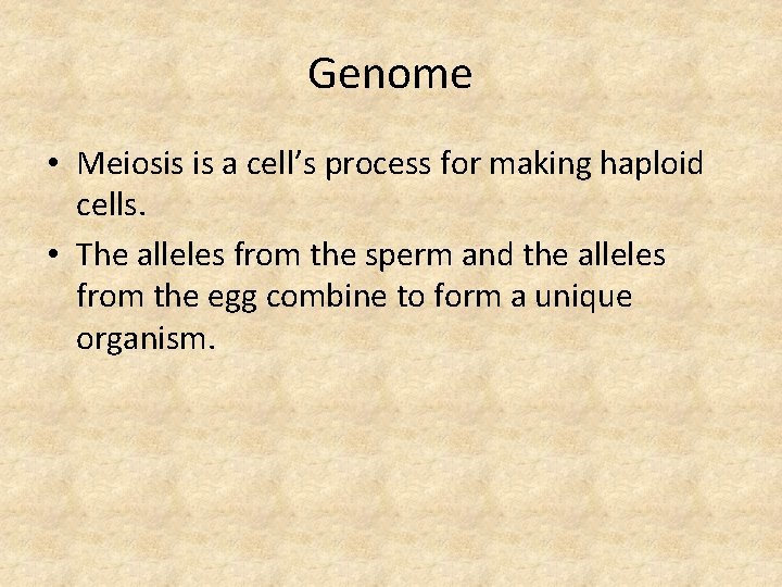 Genome • Meiosis is a cell’s process for making haploid cells. • The alleles