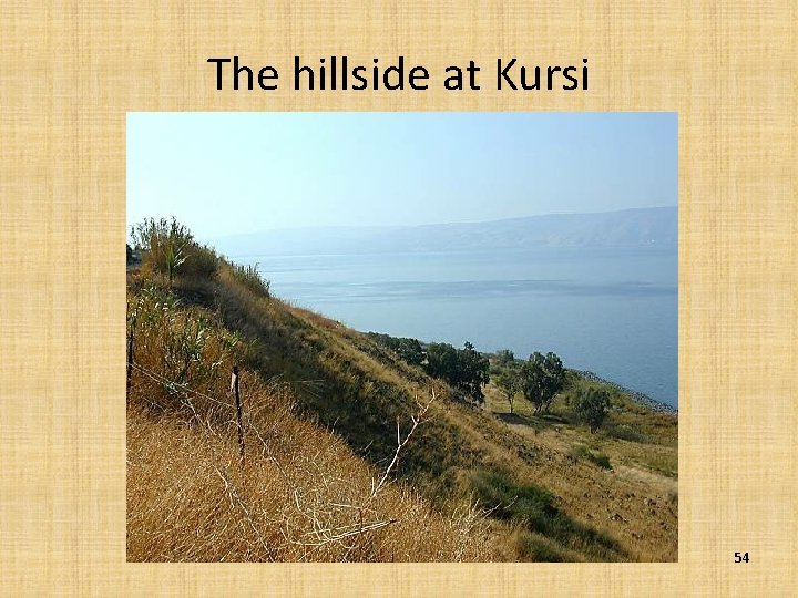 The hillside at Kursi 54 